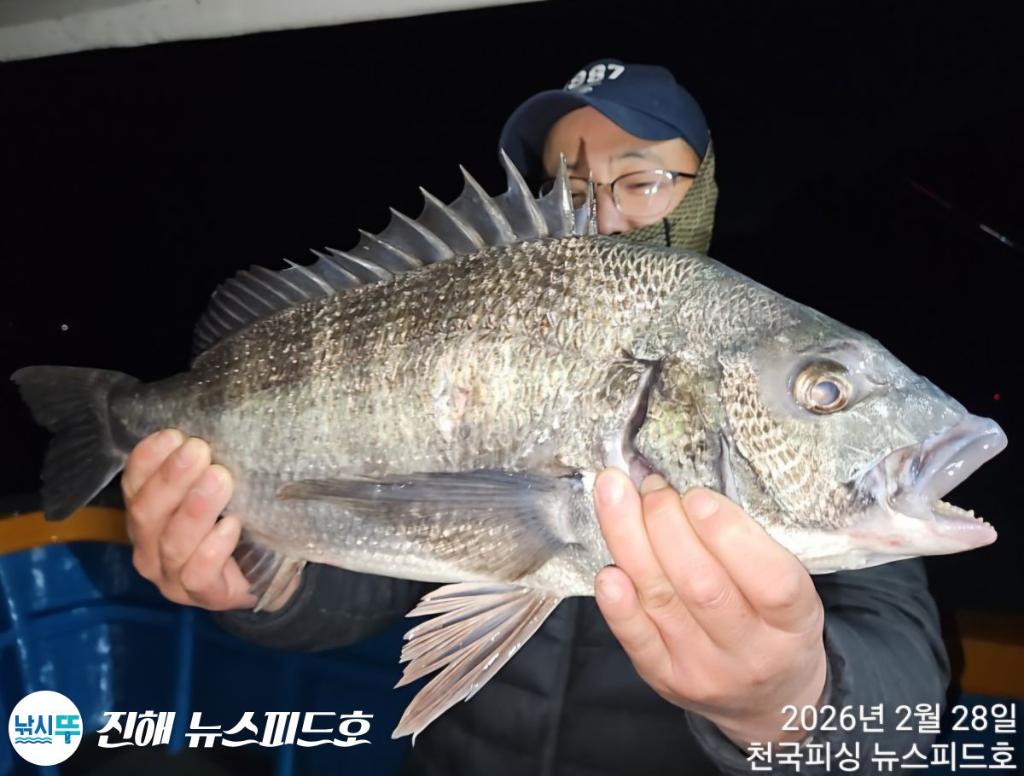 낚시뚜,감성돔,진해행암항,진해 뉴스피드호,낚시뚜11