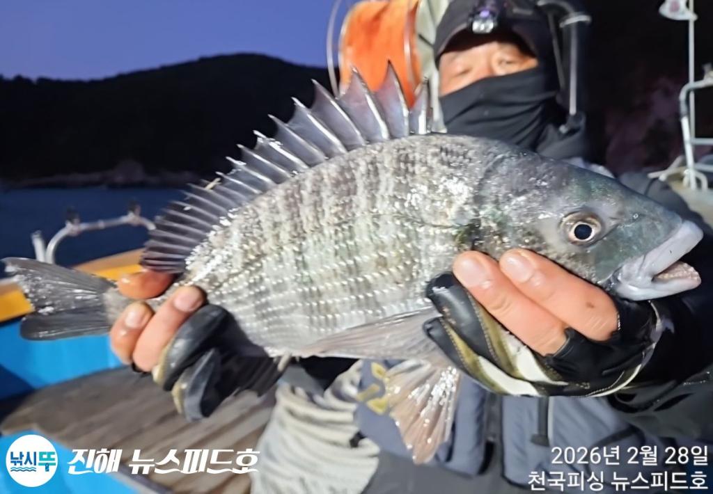 낚시뚜,감성돔,진해행암항,진해 뉴스피드호,낚시뚜10