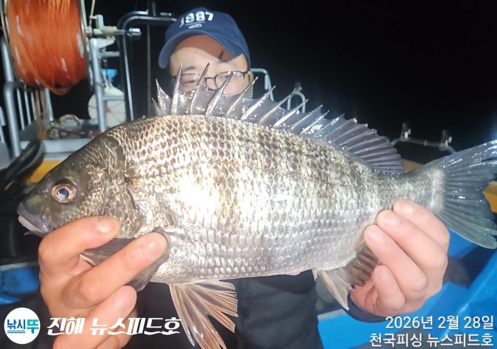 낚시뚜,감성돔,진해행암항,진해 뉴스피드호,낚시뚜9