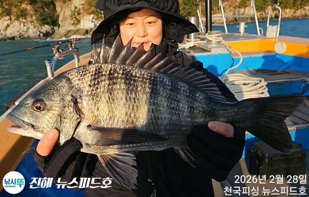 낚시뚜,감성돔,진해행암항,진해 뉴스피드호,낚시뚜13