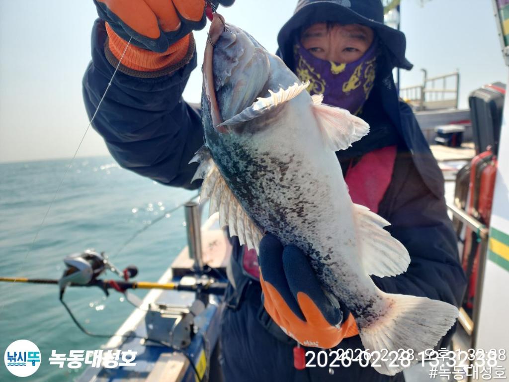 낚시뚜,우럭,열기,녹동항,녹동대성호,낚시뚜31