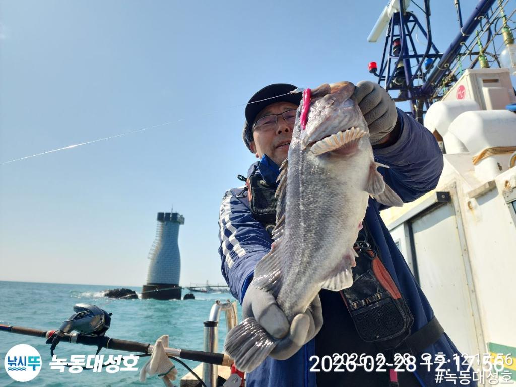낚시뚜,우럭,열기,녹동항,녹동대성호,낚시뚜28