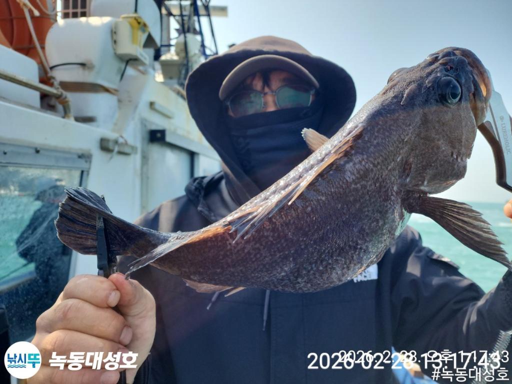 낚시뚜,우럭,열기,녹동항,녹동대성호,낚시뚜25