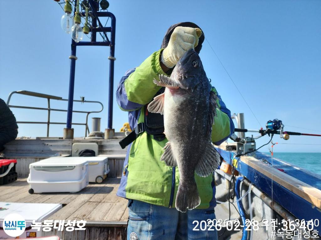 낚시뚜,우럭,열기,녹동항,녹동대성호,낚시뚜22