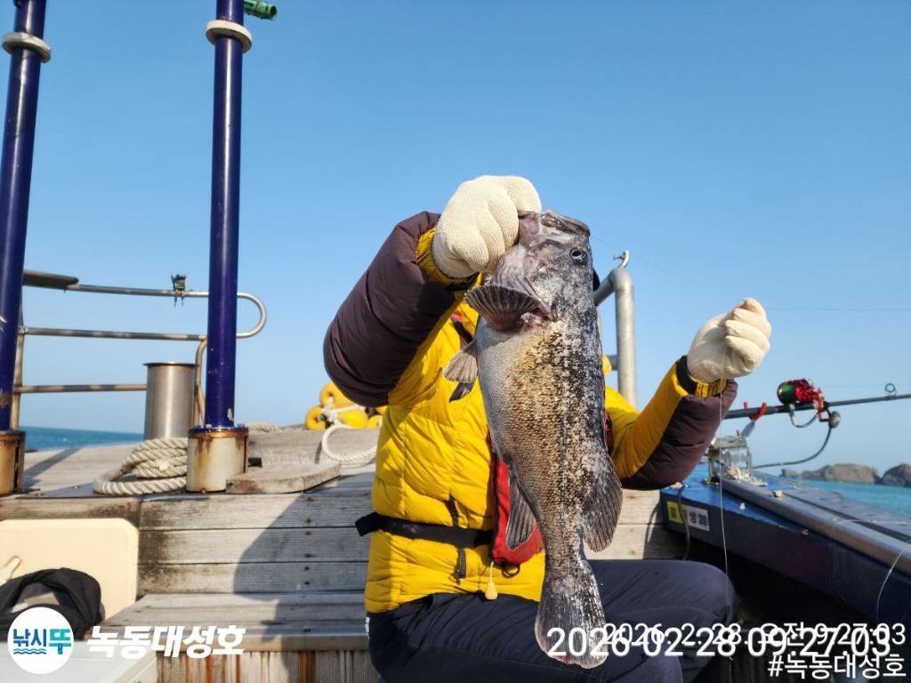낚시뚜,우럭,열기,녹동항,녹동대성호,낚시뚜20