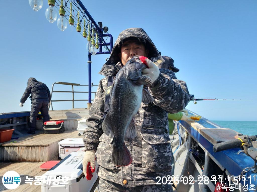 낚시뚜,우럭,열기,녹동항,녹동대성호,낚시뚜18