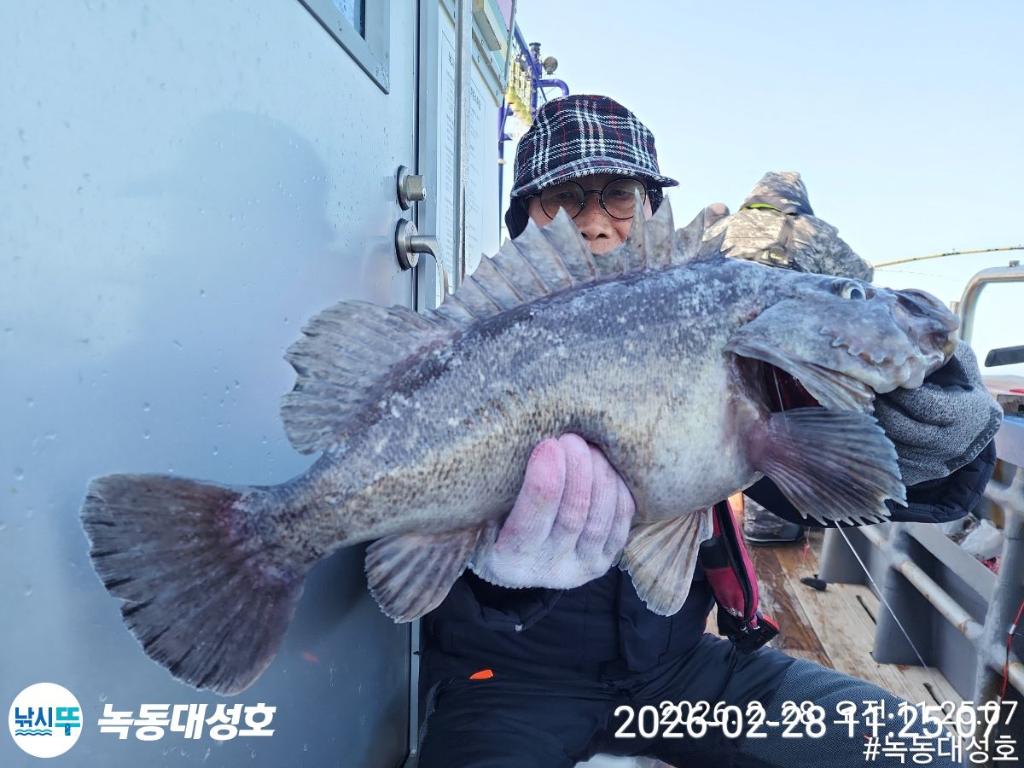 낚시뚜,우럭,열기,녹동항,녹동대성호,낚시뚜14