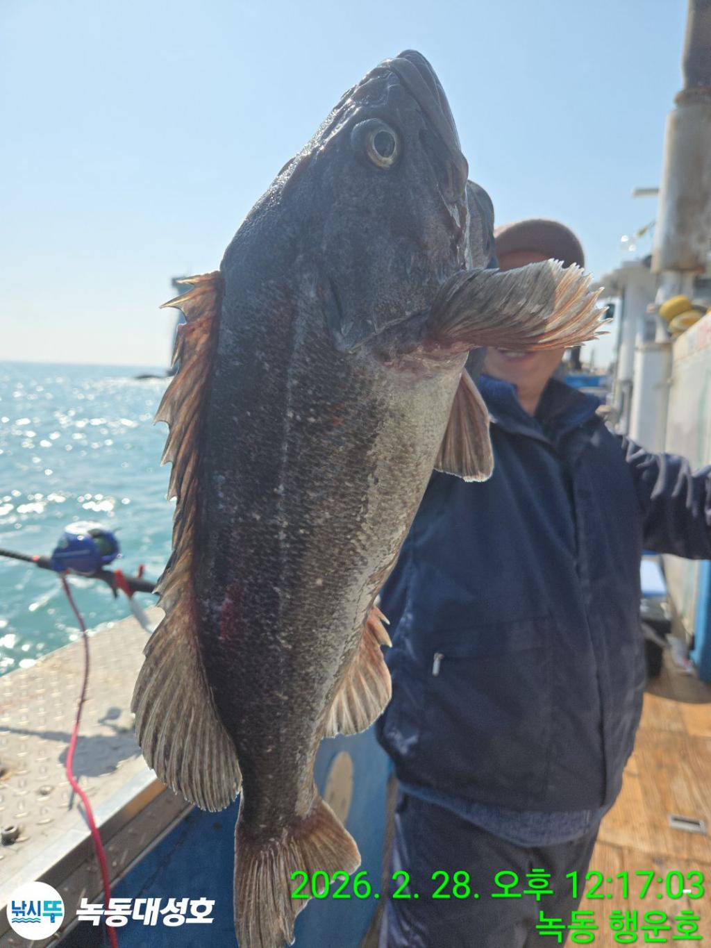 낚시뚜,우럭,열기,녹동항,녹동대성호,낚시뚜13