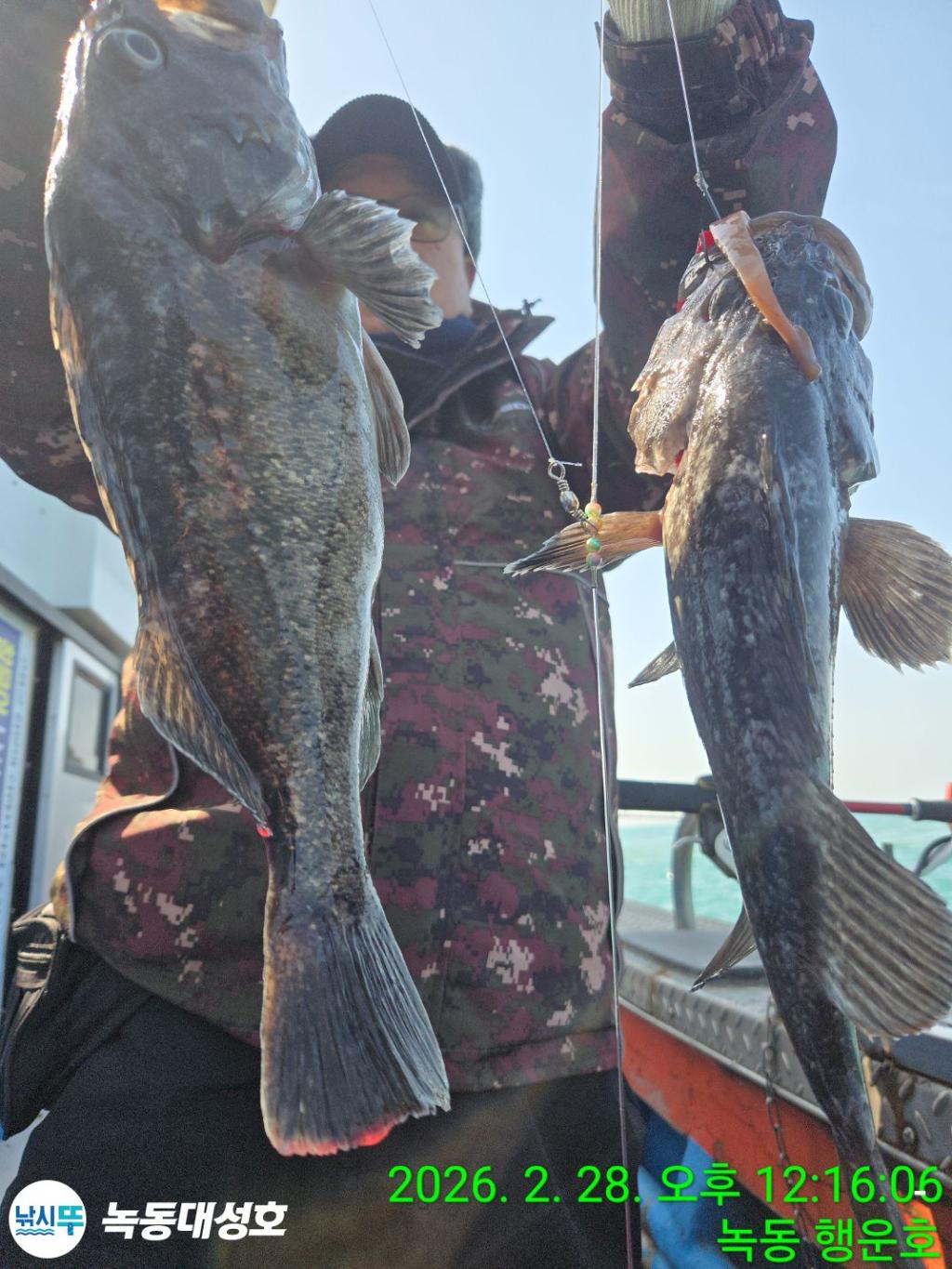 낚시뚜,우럭,열기,녹동항,녹동대성호,낚시뚜11