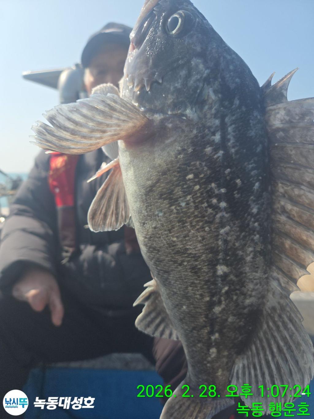 낚시뚜,우럭,열기,녹동항,녹동대성호,낚시뚜10