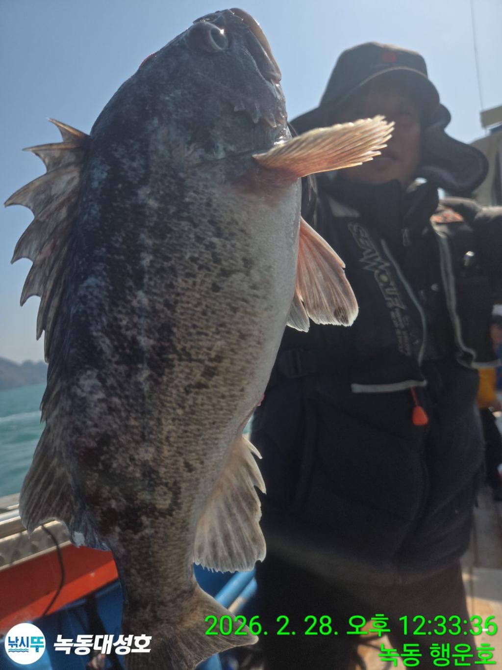 낚시뚜,우럭,열기,녹동항,녹동대성호,낚시뚜9