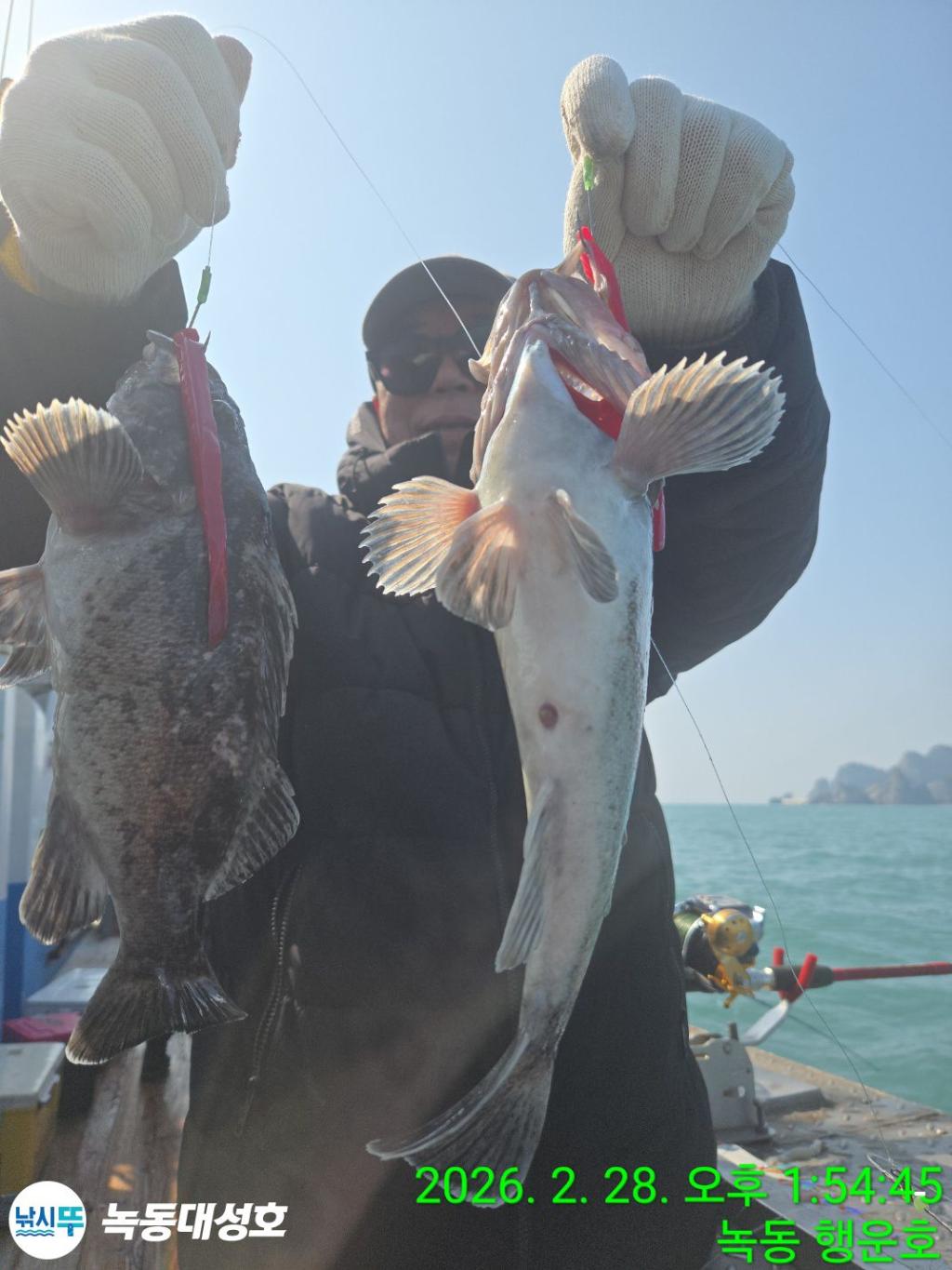 낚시뚜,우럭,열기,녹동항,녹동대성호,낚시뚜8