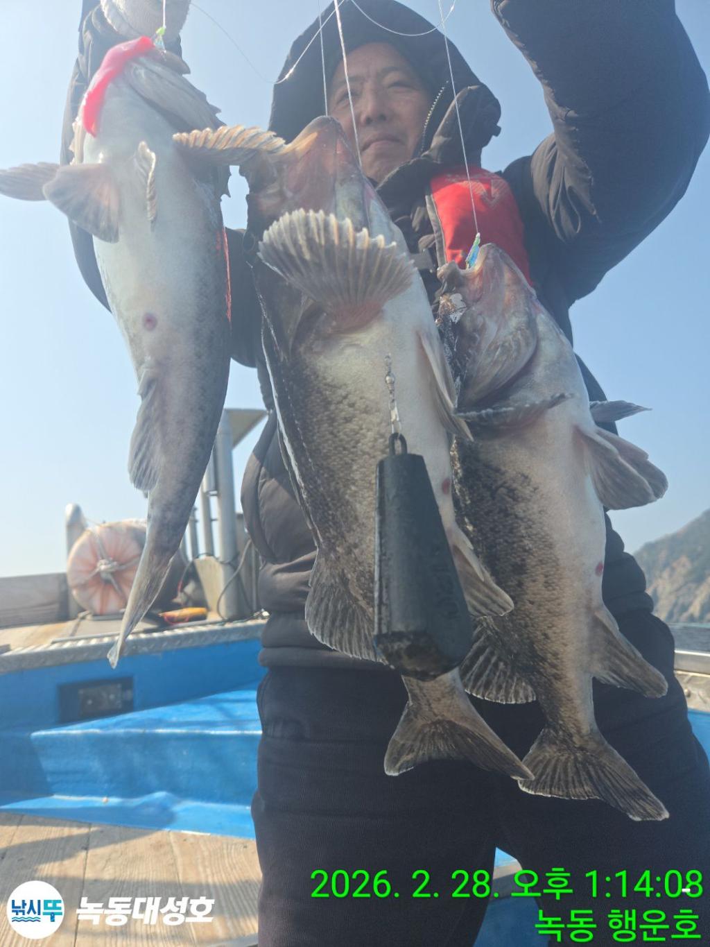 낚시뚜,우럭,열기,녹동항,녹동대성호,낚시뚜5