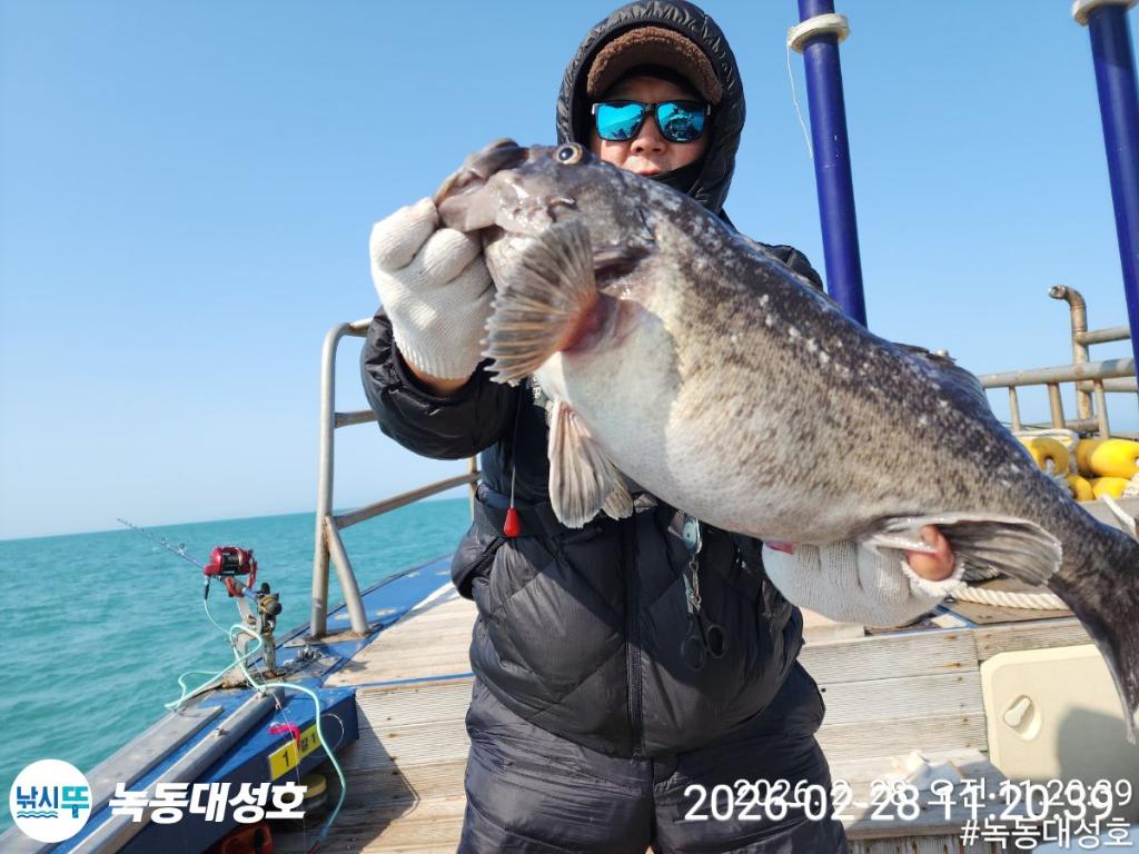 낚시뚜,우럭,열기,녹동항,녹동대성호,낚시뚜3