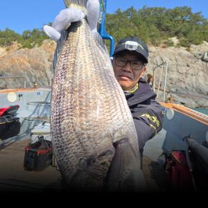 조황, 55cm>대물감성돔 시즌답게 터지고 바늘빠지고