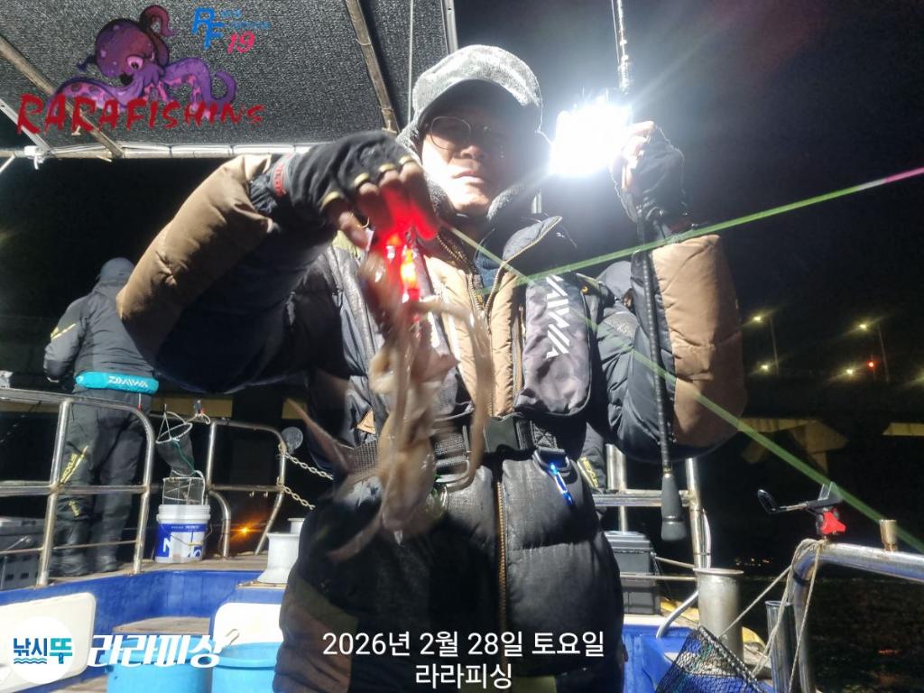 낚시뚜,낙지,속천항(진해),라라피싱,낚시뚜7