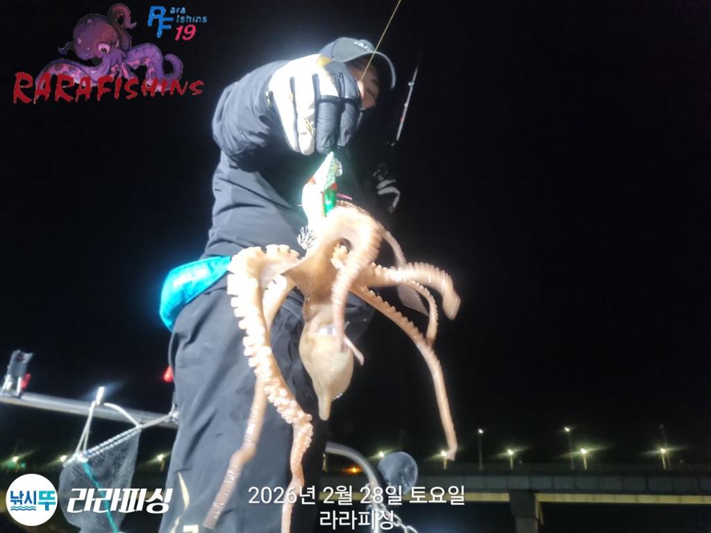 낚시뚜,낙지,속천항(진해),라라피싱,낚시뚜0