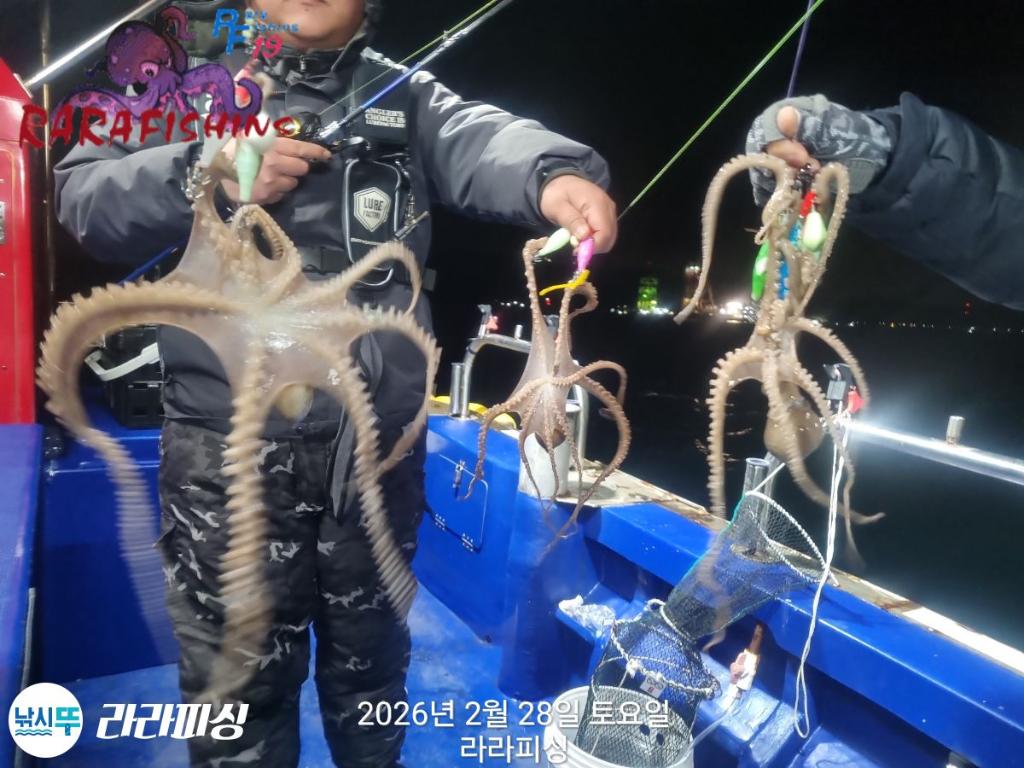 낚시뚜,낙지,돌문어,속천항(진해),라라피싱,낚시뚜2