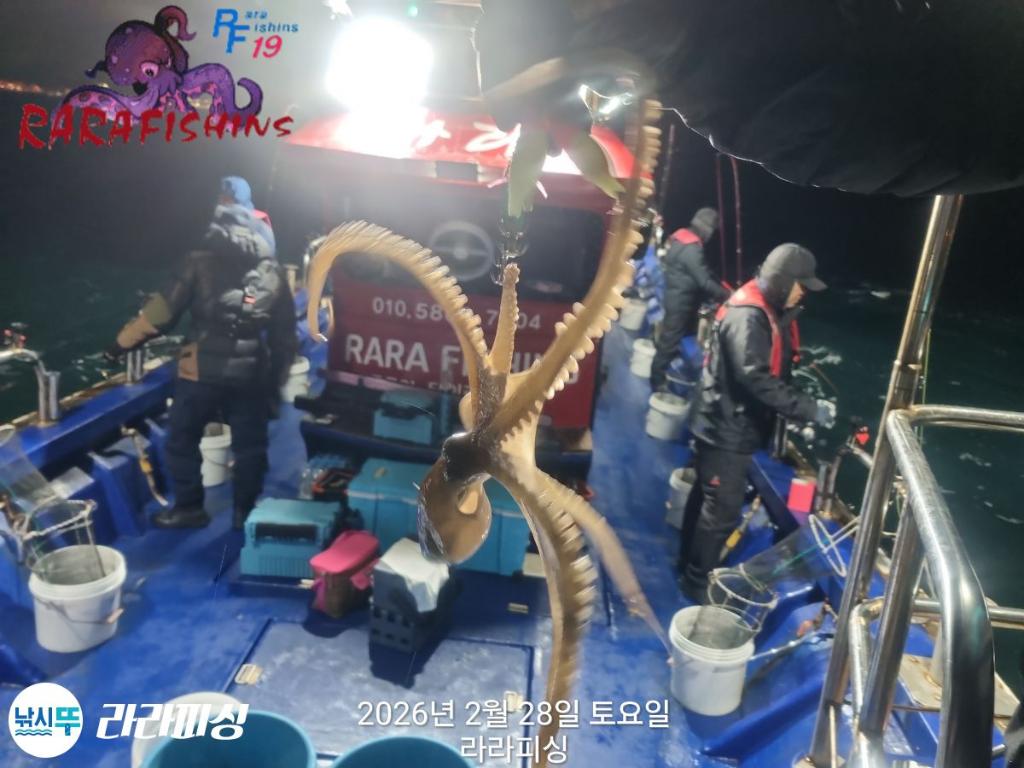 낚시뚜,낙지,돌문어,속천항(진해),라라피싱,낚시뚜1