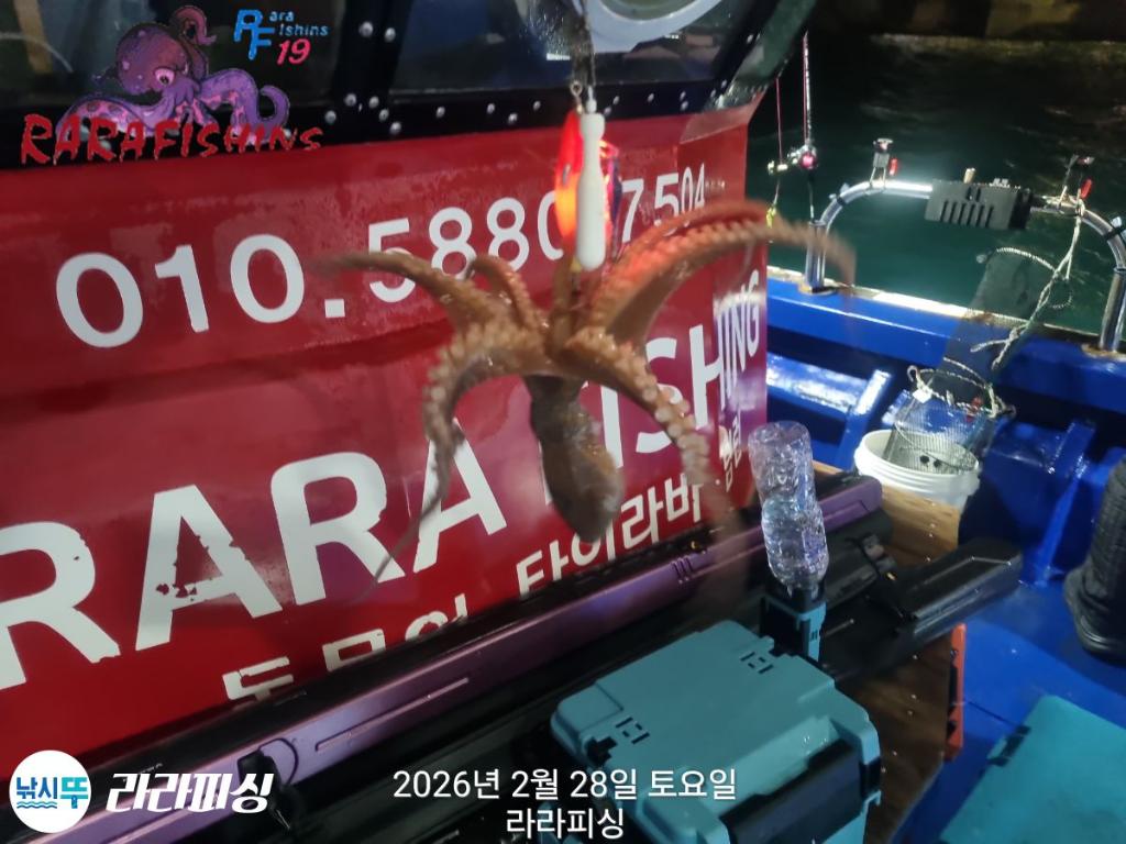 낚시뚜,낙지,속천항(진해),라라피싱,낚시뚜8