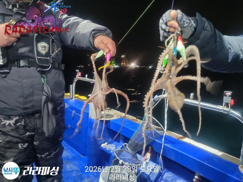 낚시뚜,낙지,속천항(진해),라라피싱,낚시뚜0