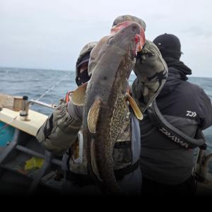 조황, 미르호 왕대구 