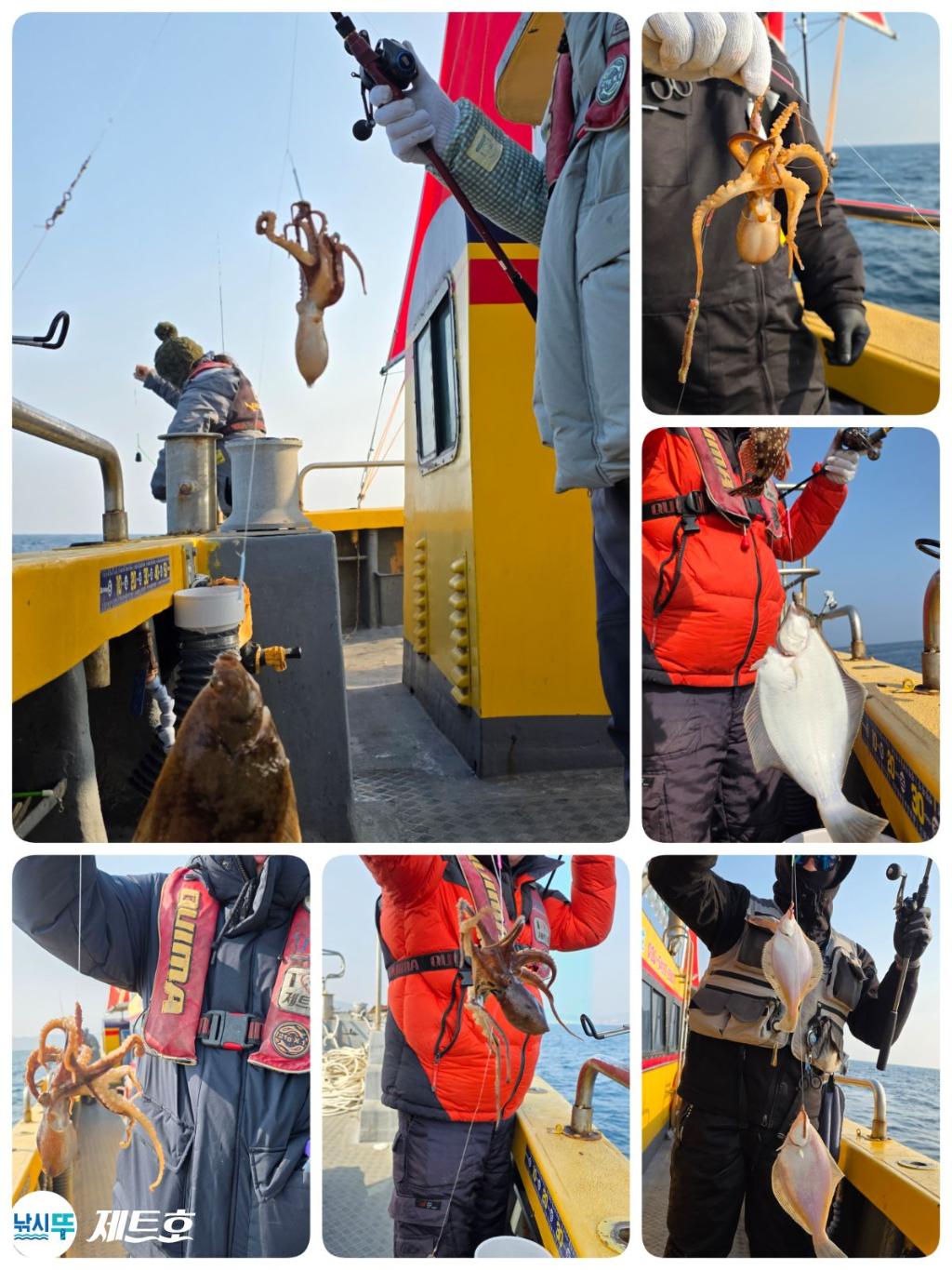 낚시뚜,도다리,가자미,영일만항,포항 제트호,낚시뚜4