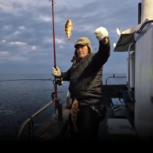 조황, 5일왕볼락 왕열기 조황 입니다