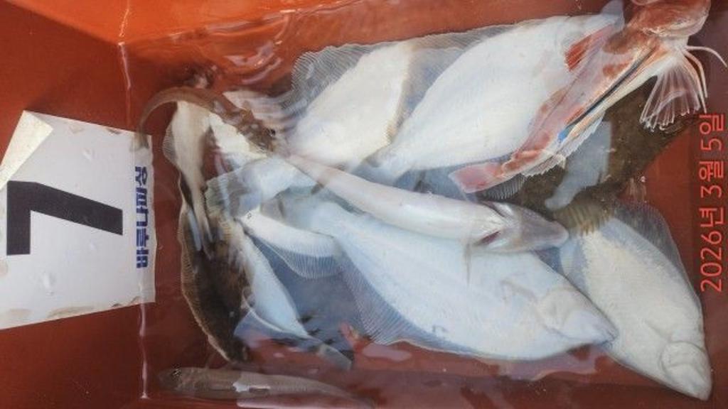 낚시뚜,도다리,속천항(진해),바루나피싱,낚시뚜8