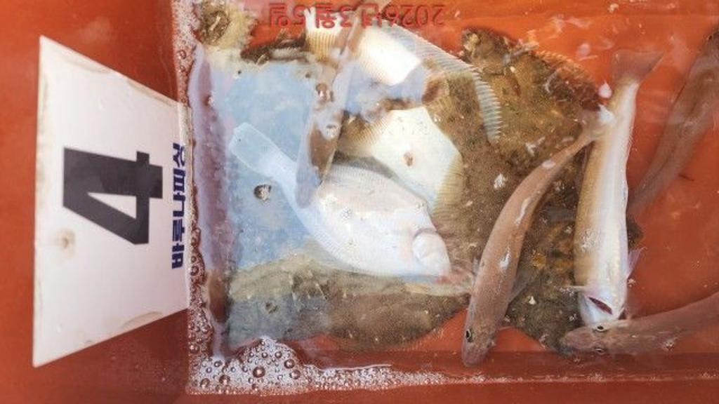 낚시뚜,도다리,속천항(진해),바루나피싱,낚시뚜6