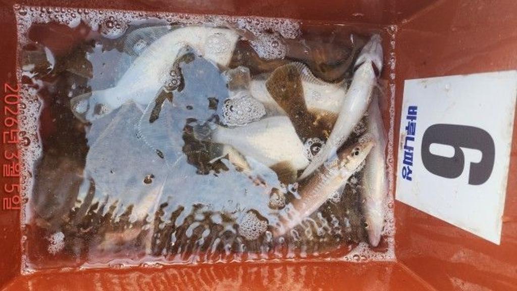 낚시뚜,도다리,속천항(진해),바루나피싱,낚시뚜2