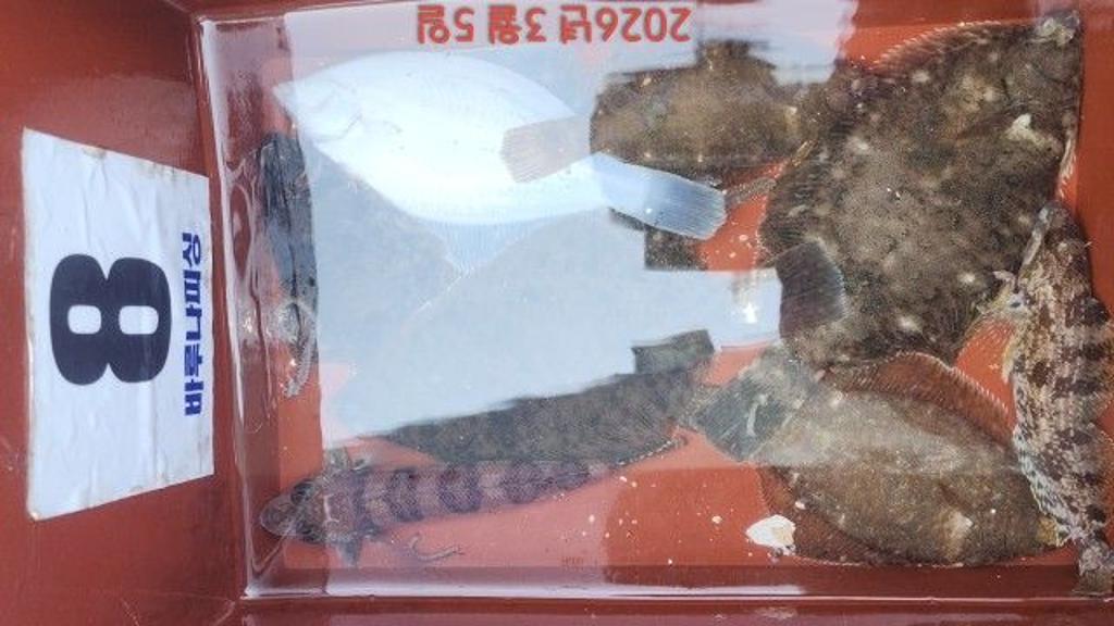 낚시뚜,도다리,속천항(진해),바루나피싱,낚시뚜1