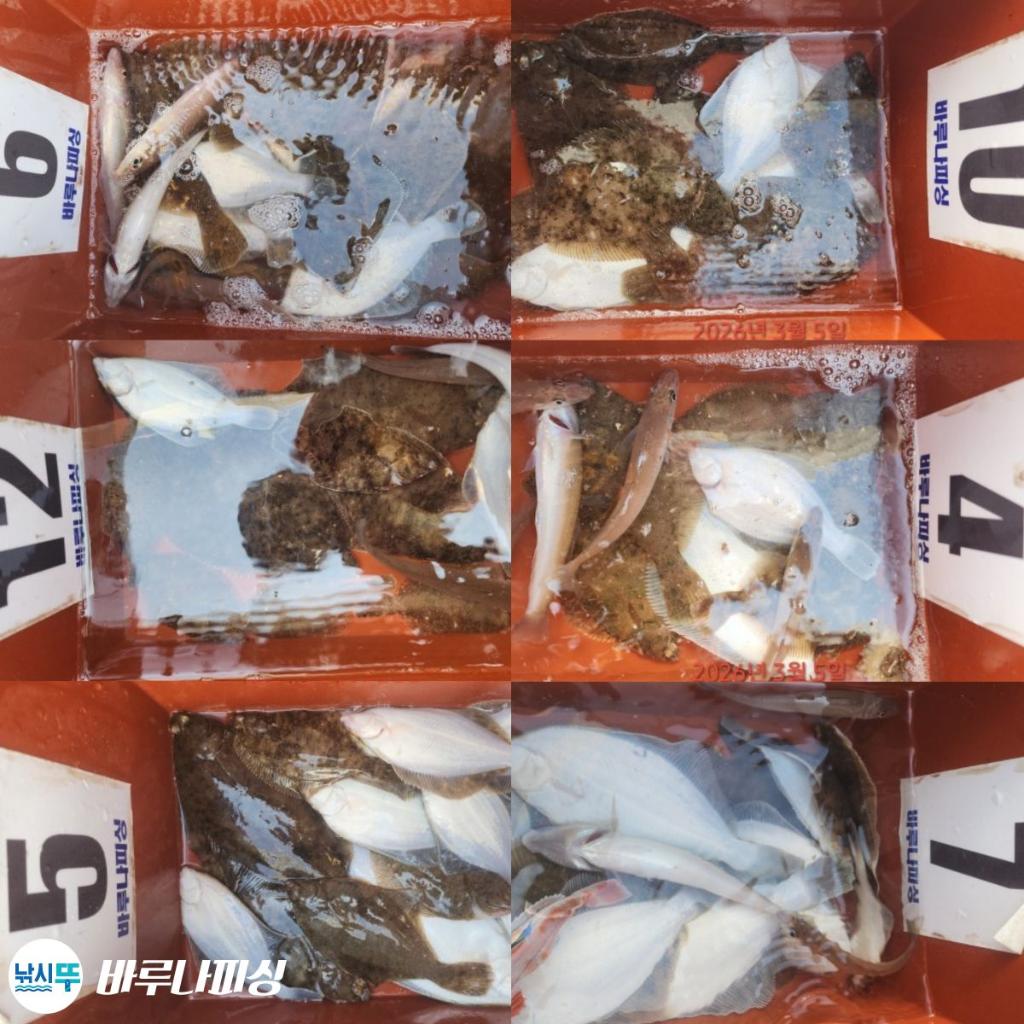 낚시뚜,도다리,속천항(진해),바루나피싱,낚시뚜0