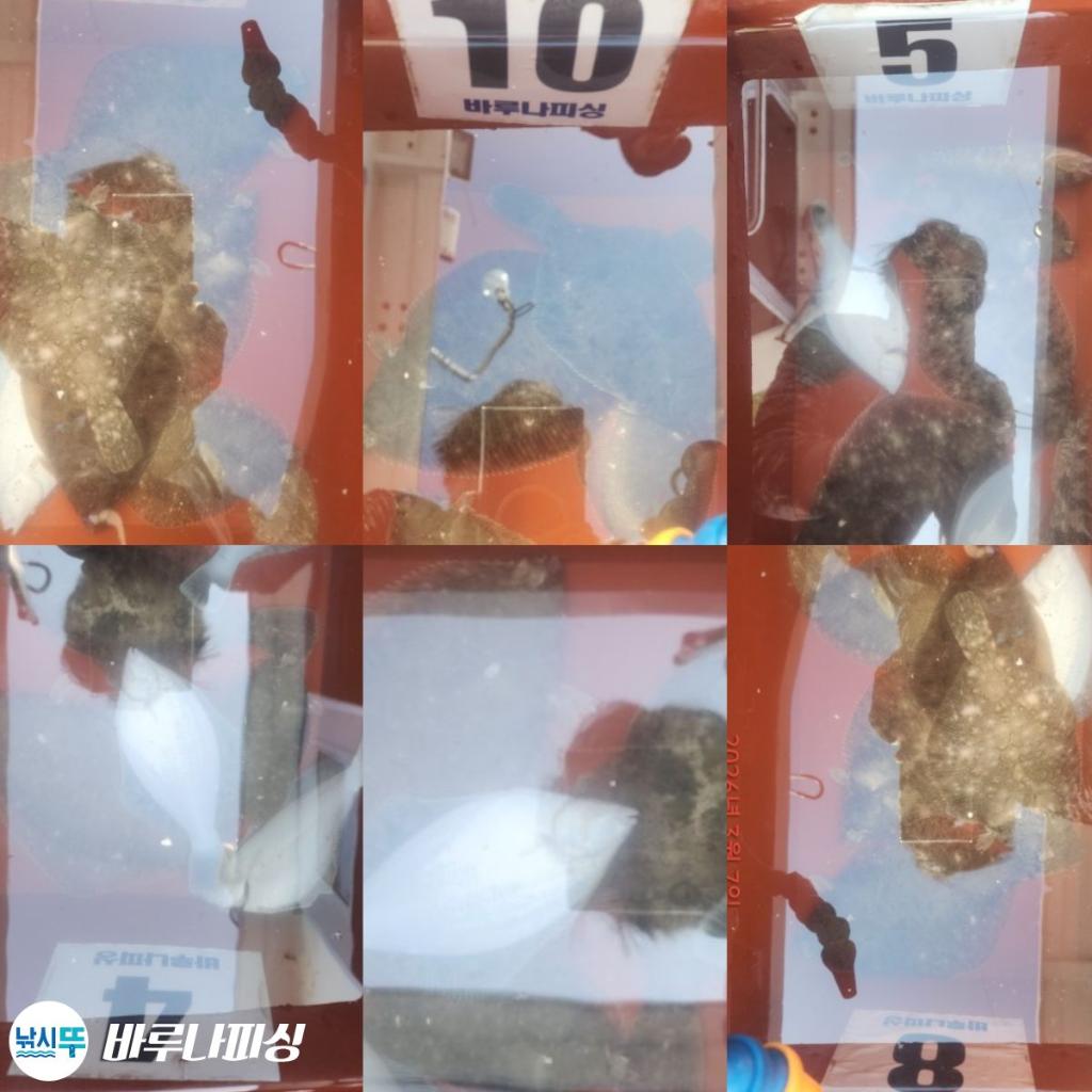 낚시뚜,도다리,속천항(진해),바루나피싱,낚시뚜6