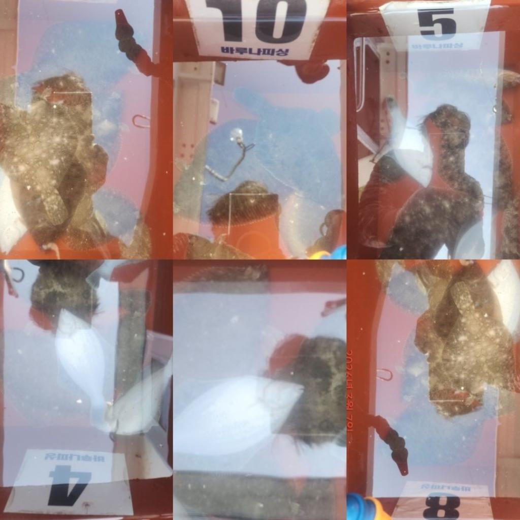 낚시뚜,도다리,속천항(진해),바루나피싱,낚시뚜7