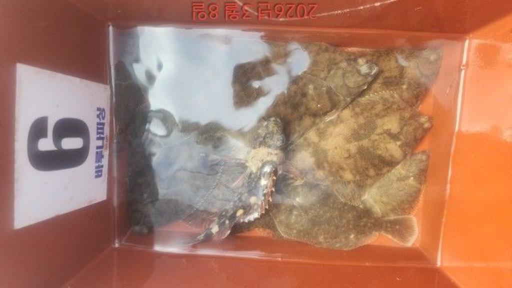 낚시뚜,도다리,속천항(진해),바루나피싱,낚시뚜9