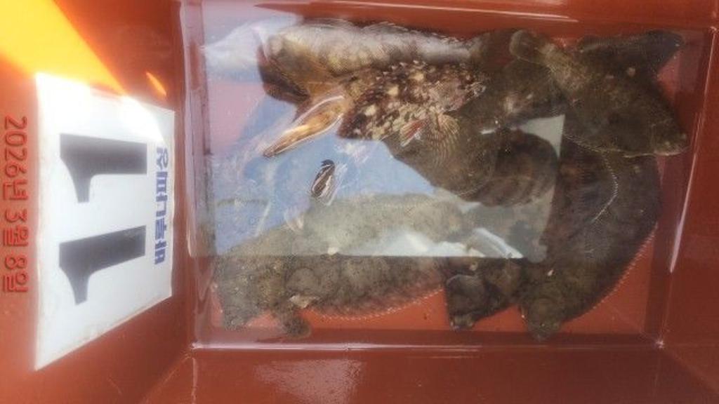 낚시뚜,도다리,속천항(진해),바루나피싱,낚시뚜6