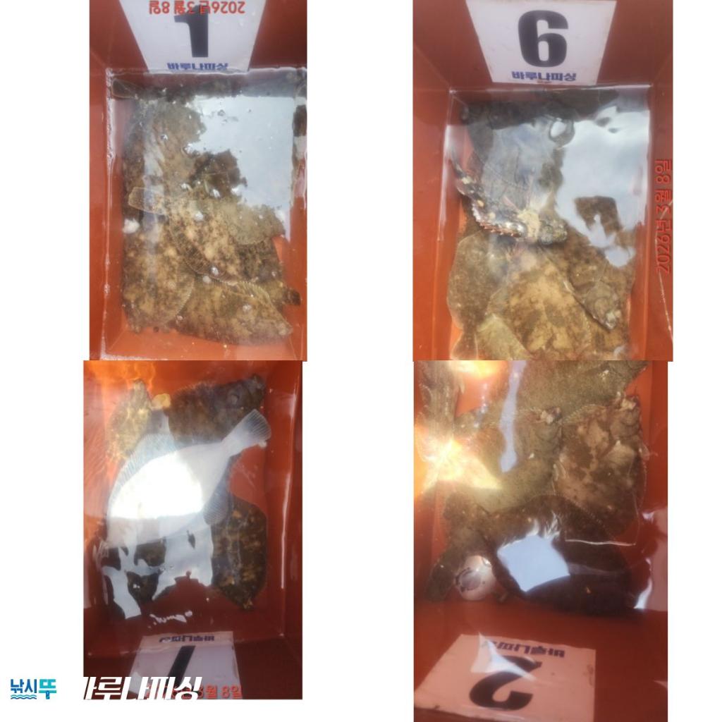 낚시뚜,도다리,속천항(진해),바루나피싱,낚시뚜1