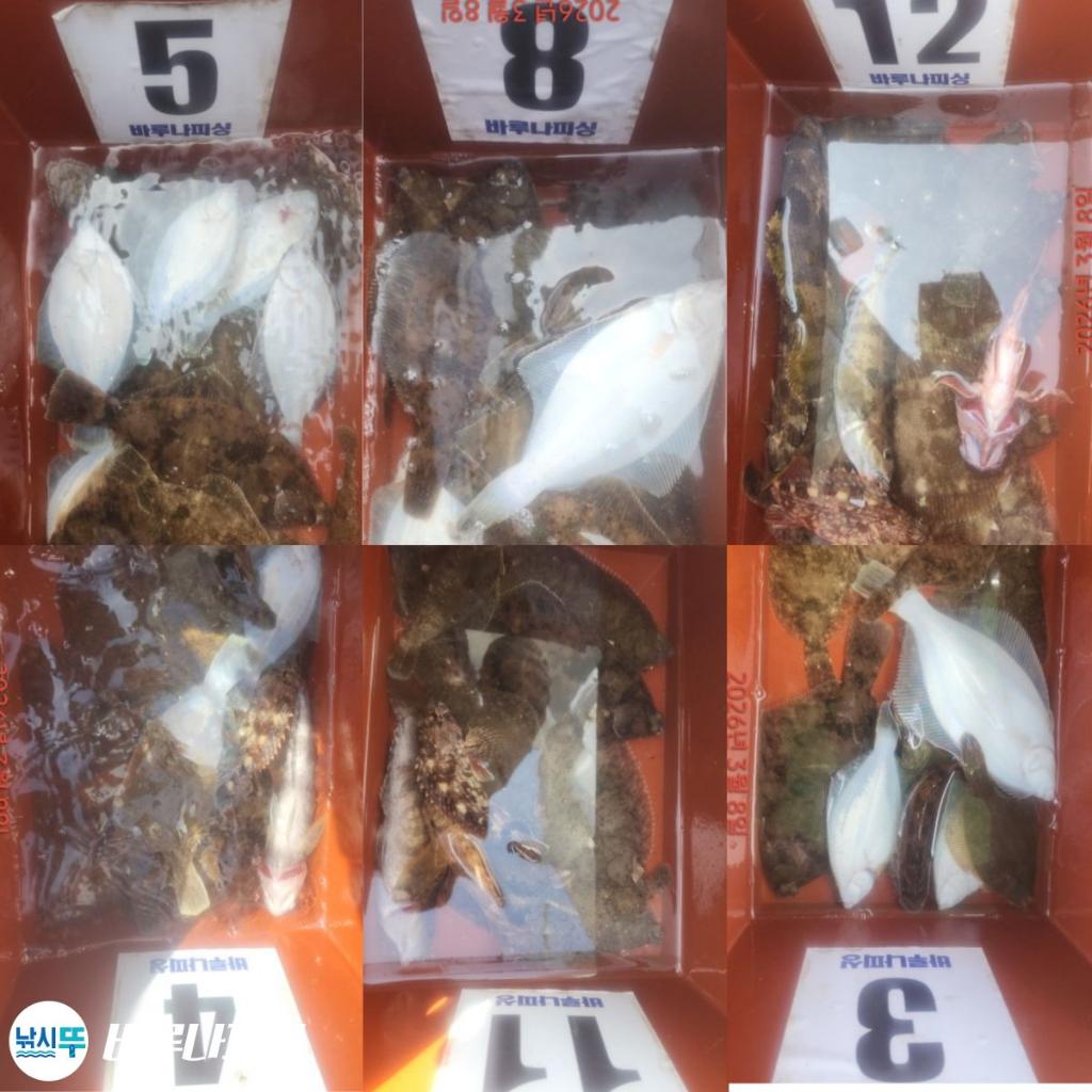 낚시뚜,도다리,속천항(진해),바루나피싱,낚시뚜0