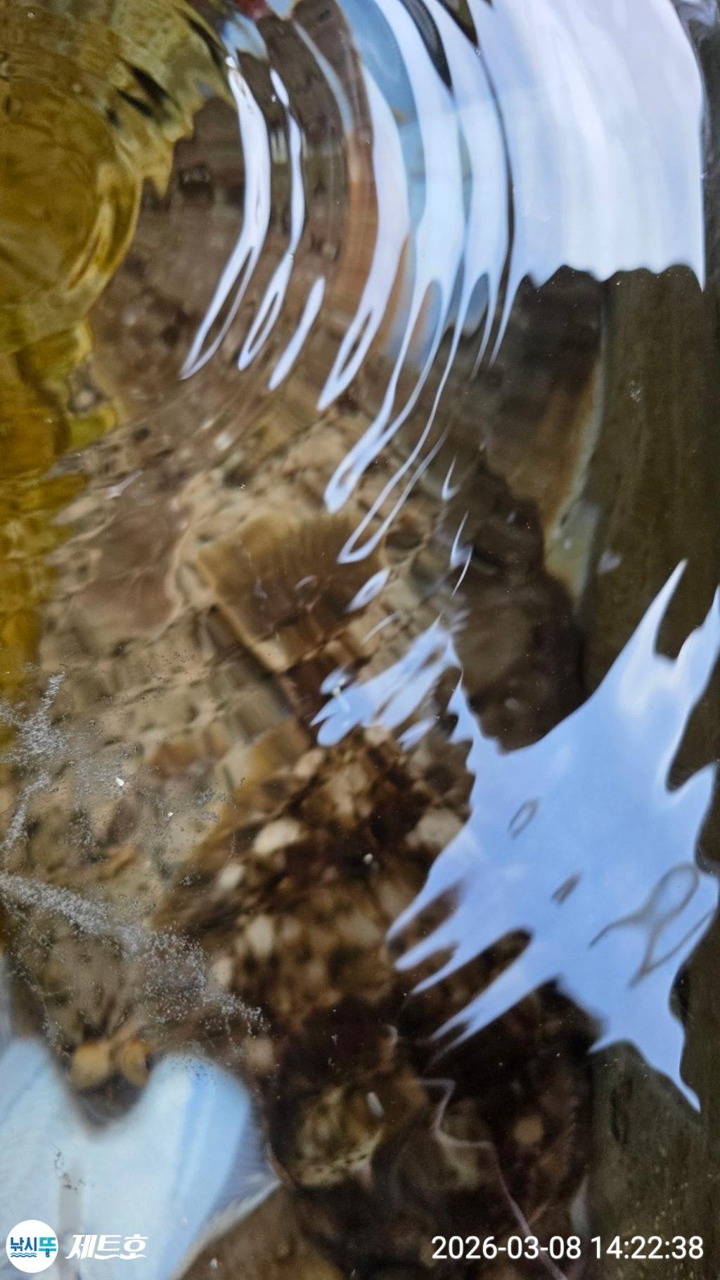 낚시뚜,도다리,가자미,영일만항,포항 제트호,낚시뚜33