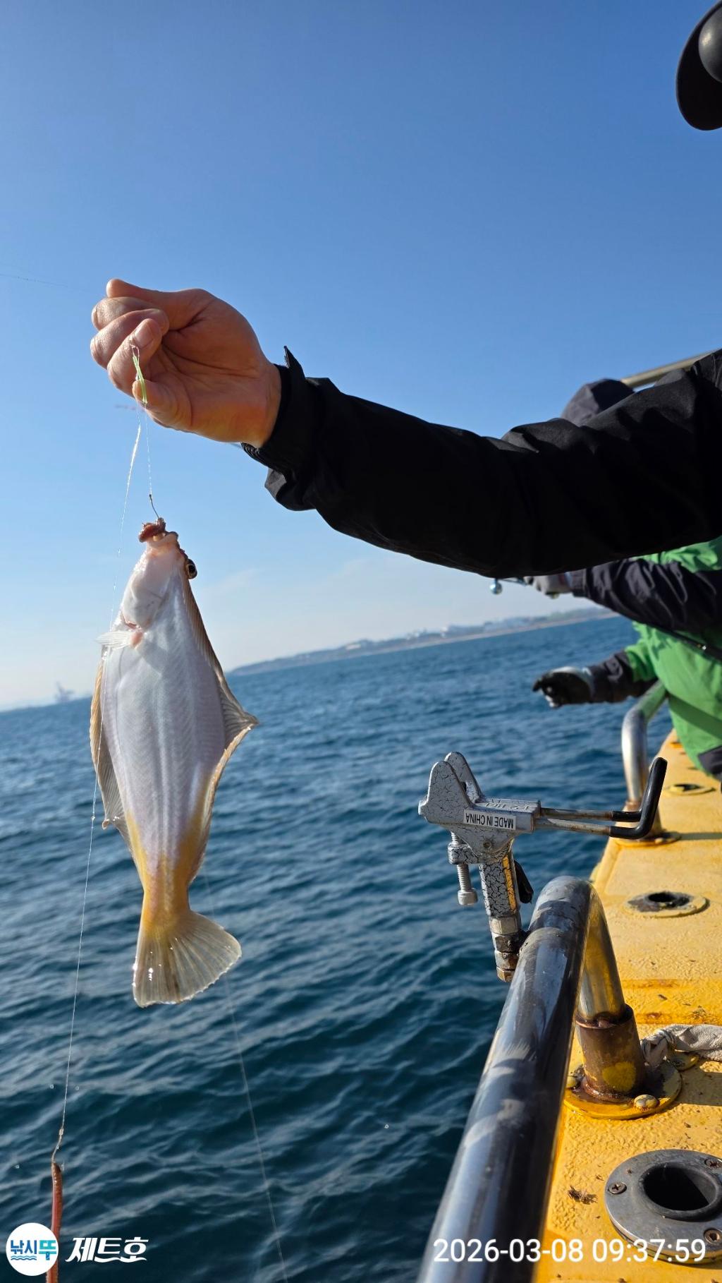 낚시뚜,도다리,가자미,영일만항,포항 제트호,낚시뚜20