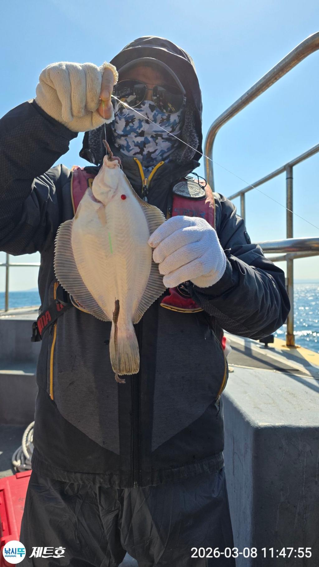 낚시뚜,도다리,가자미,영일만항,포항 제트호,낚시뚜11