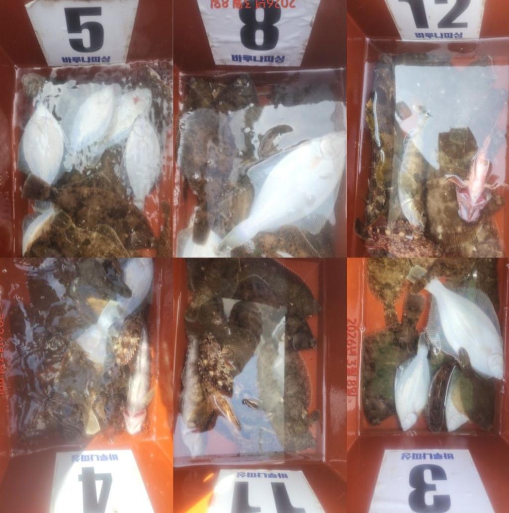 낚시뚜,도다리,속천항(진해),바루나피싱,낚시뚜15