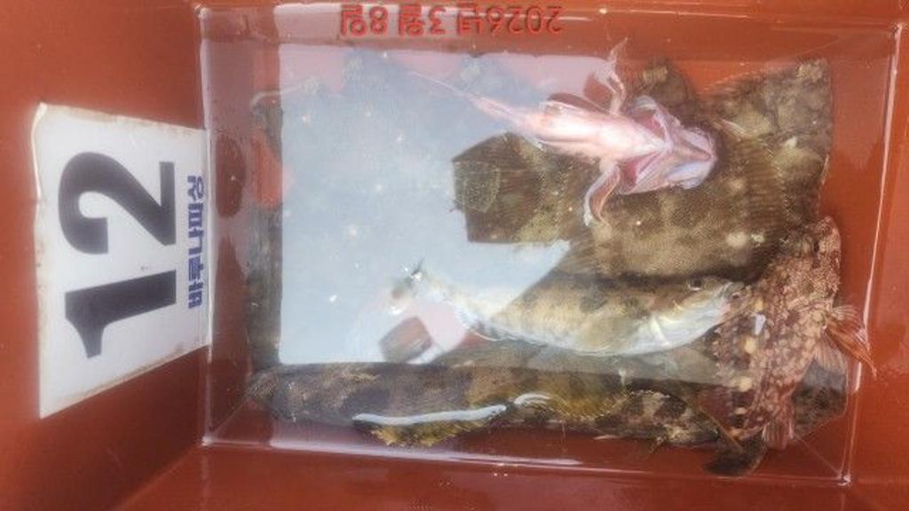 낚시뚜,도다리,속천항(진해),바루나피싱,낚시뚜11