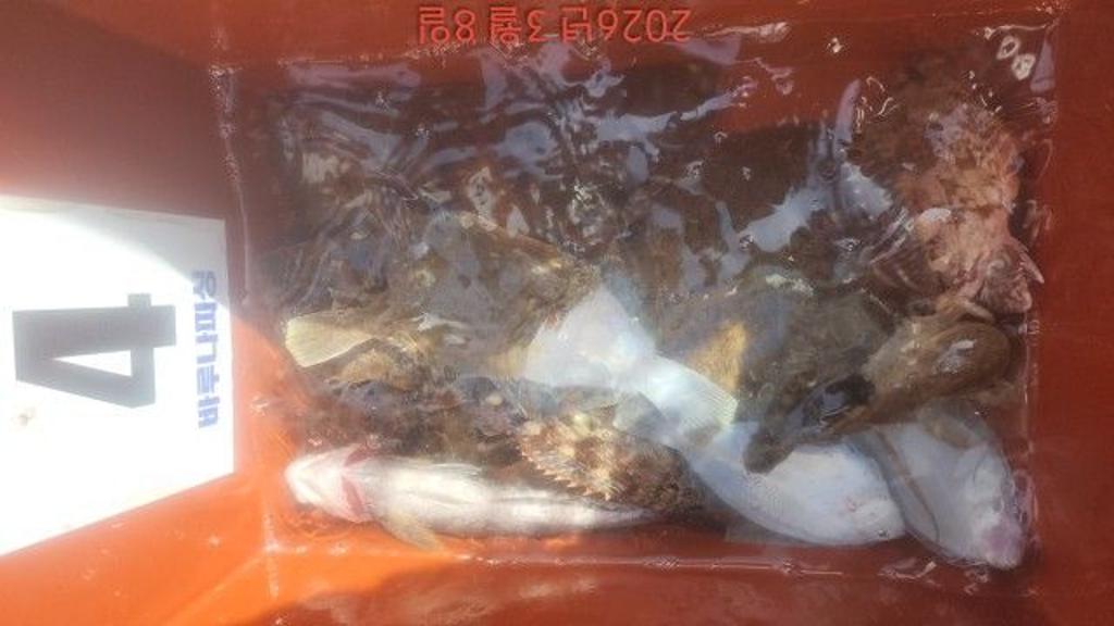 낚시뚜,도다리,속천항(진해),바루나피싱,낚시뚜10