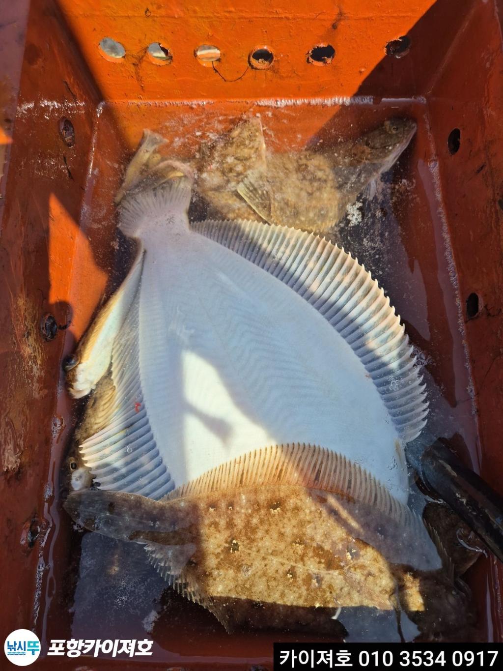 낚시뚜,기타 (직접입력),영일만항,포항카이져호,낚시뚜18