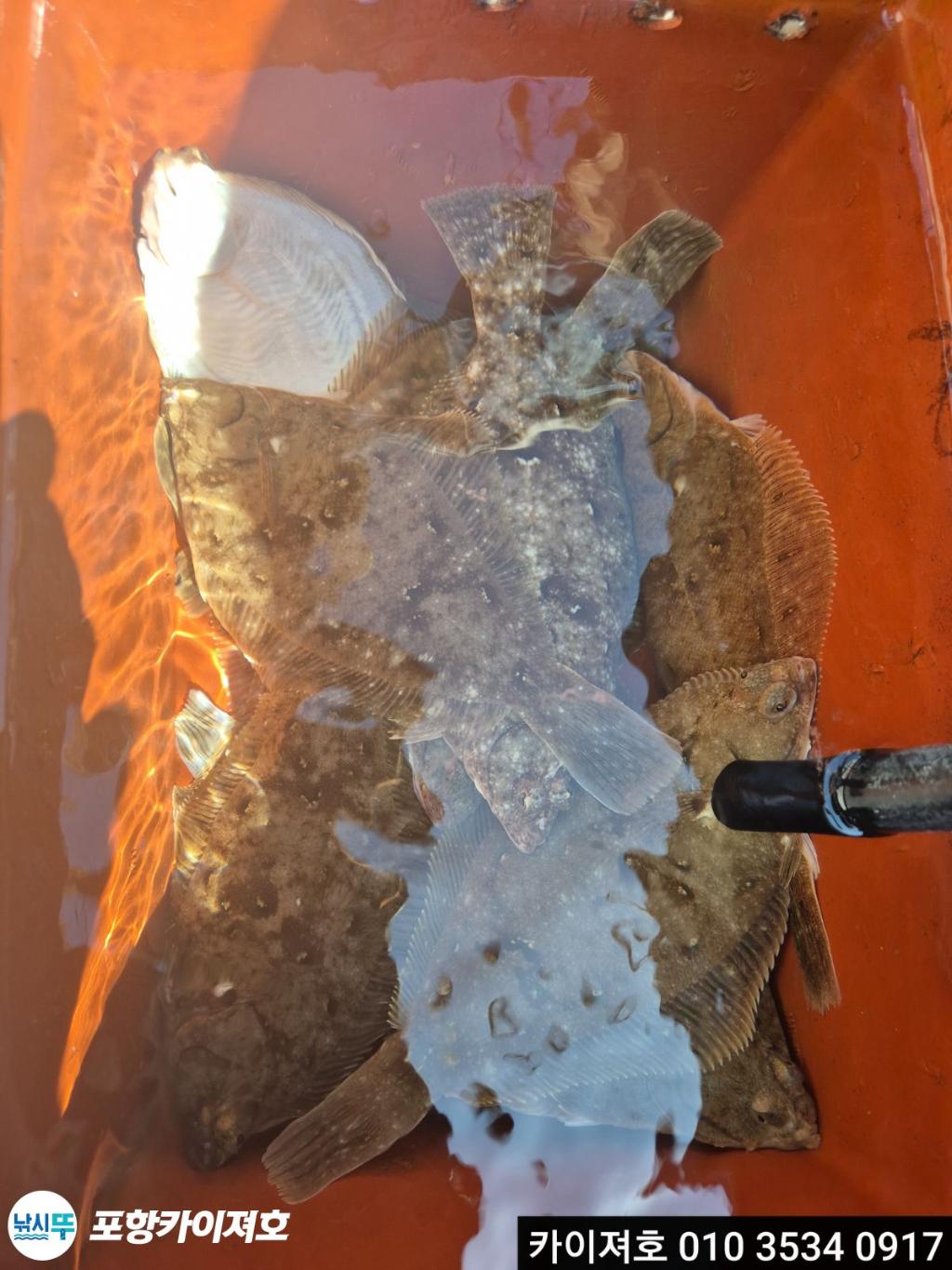 낚시뚜,기타 (직접입력),영일만항,포항카이져호,낚시뚜16