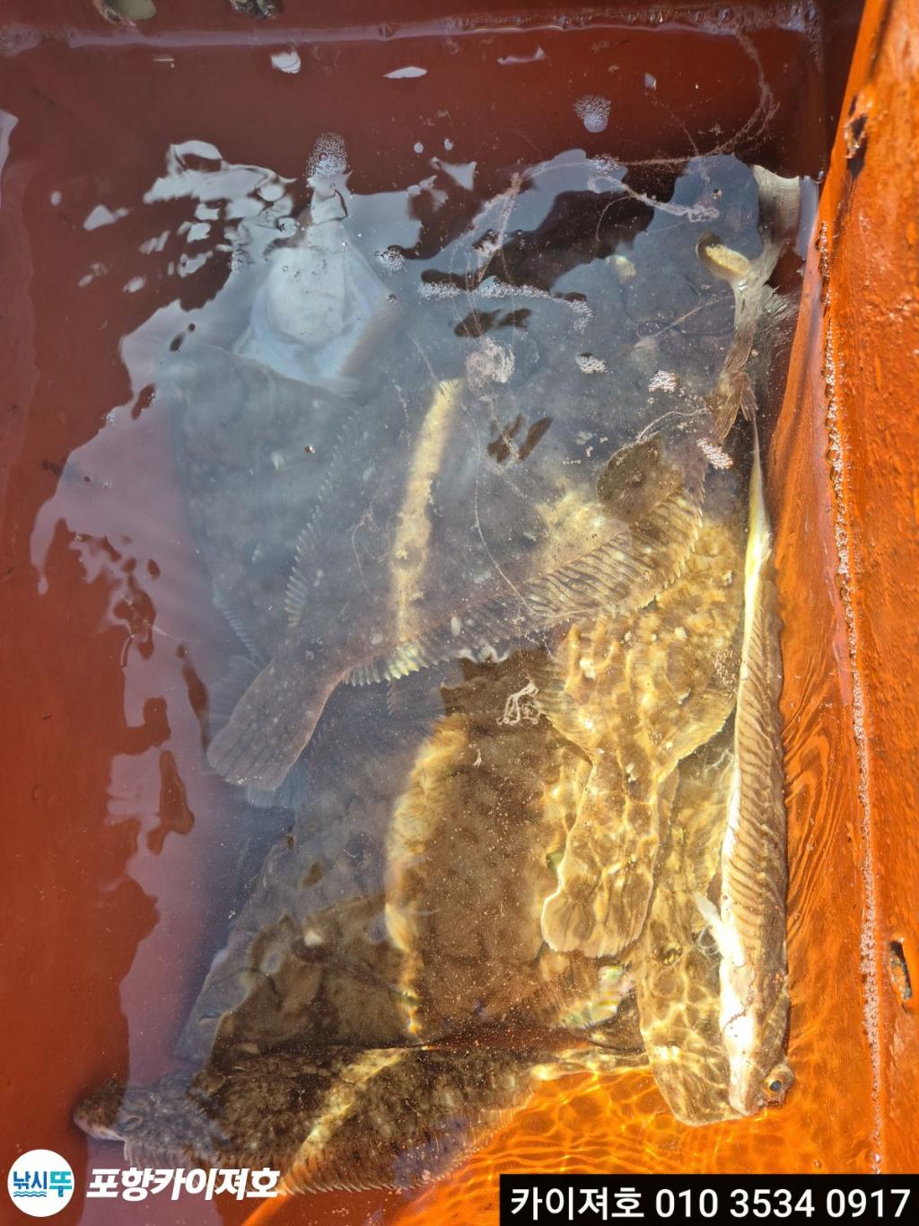 낚시뚜,기타 (직접입력),영일만항,포항카이져호,낚시뚜15