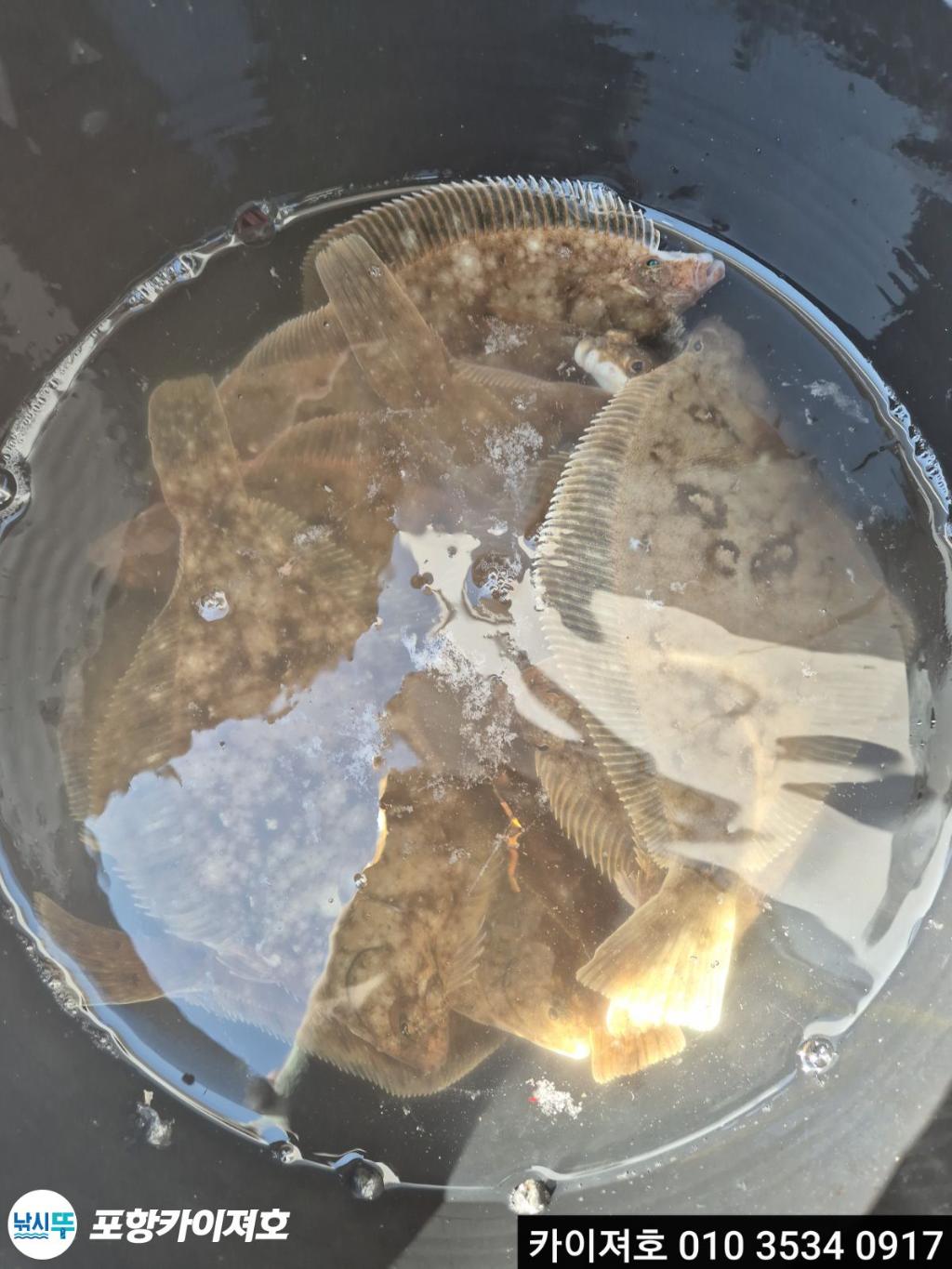 낚시뚜,기타 (직접입력),영일만항,포항카이져호,낚시뚜14