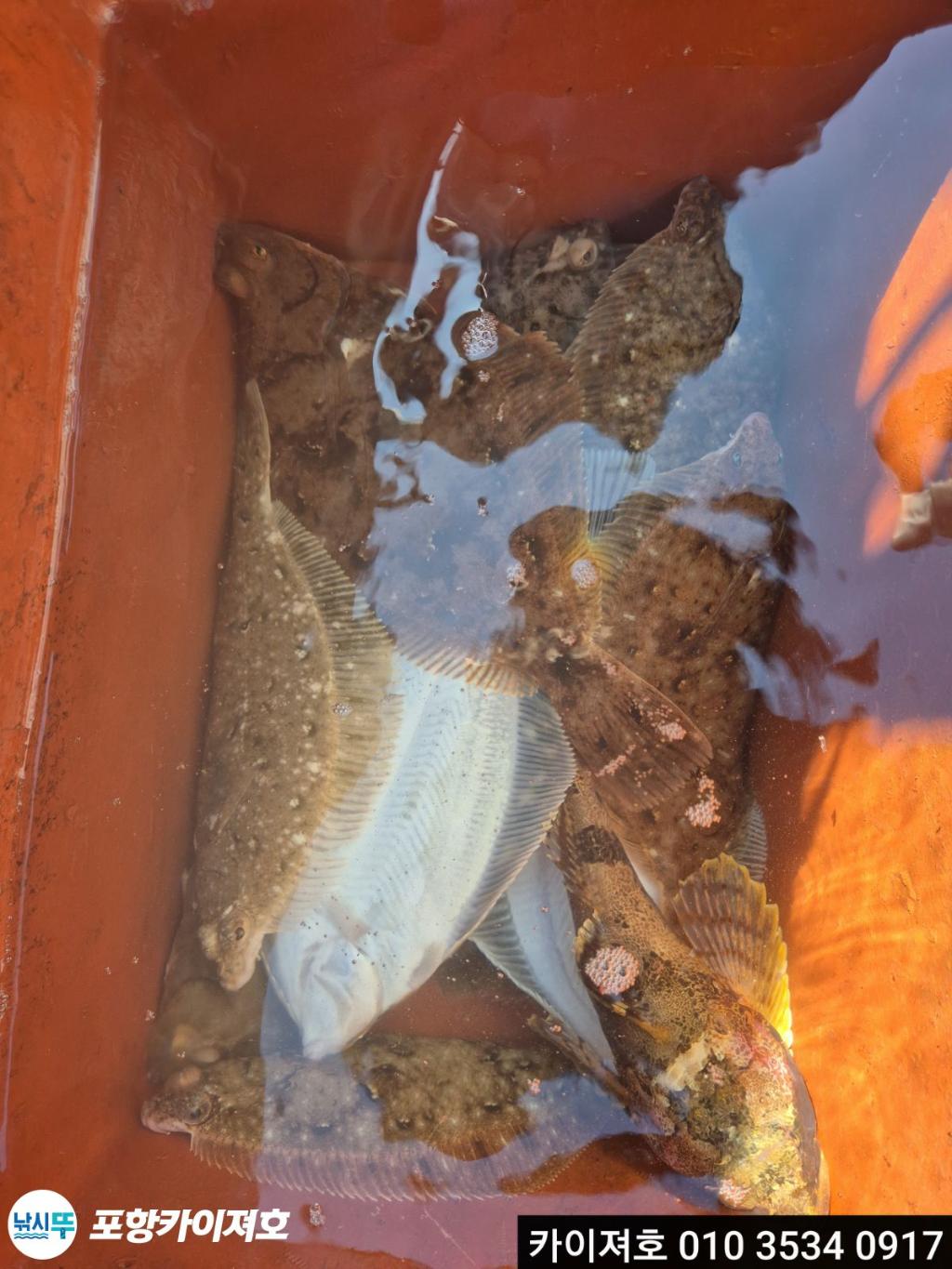 낚시뚜,기타 (직접입력),영일만항,포항카이져호,낚시뚜13